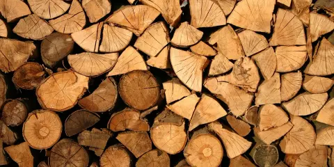 Stos drewna, przygotowany do suszenia desek na powietrzu. Widoczne przekroje pni, słoje i pęknięcia.
