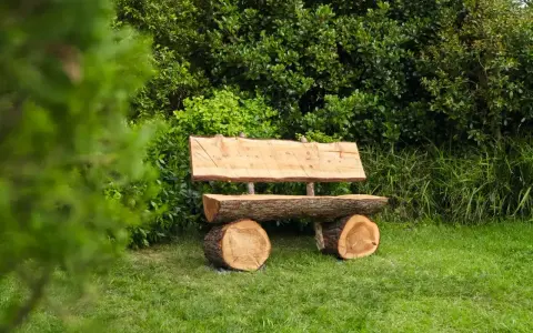 Prosty projekt: jak zrobić ławkę z pnia drzewa. Naturalne drewno, idealne do ogrodu.