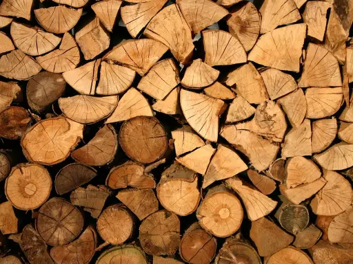 Stos drewna, przygotowany do suszenia desek na powietrzu. Widoczne przekroje pni, słoje i pęknięcia.