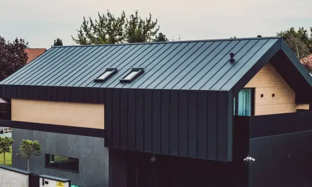 Nowoczesny dom z ciemną elewacją z blachy trapezowej, drewnianymi panelami i dwoma oknami dachowymi.